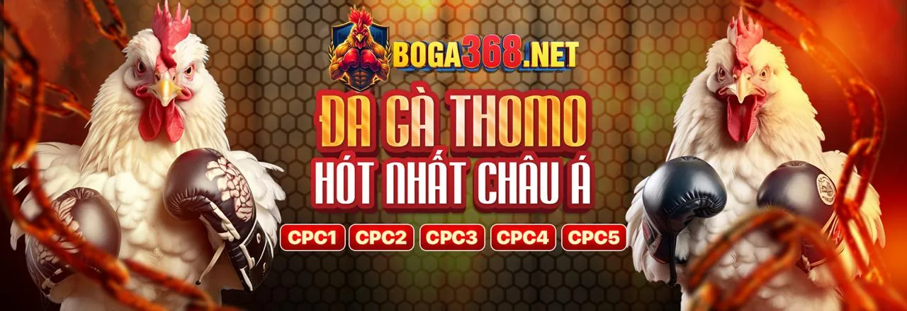 Giao diện đặt cược đá gà 7789bet Thể Thao